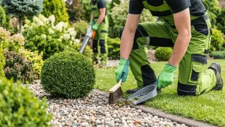 Landscaping